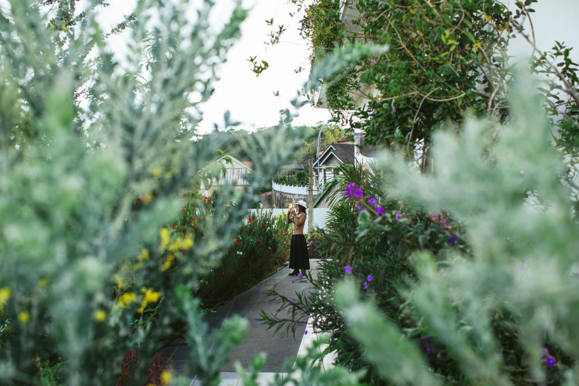 He Maison Boutique Stay & Cafe Da Lat Buitenkant foto